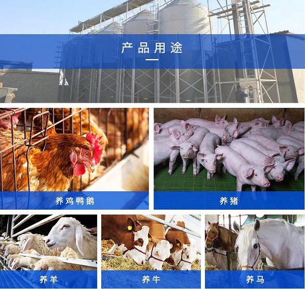 料塔廠家 料塔廠家