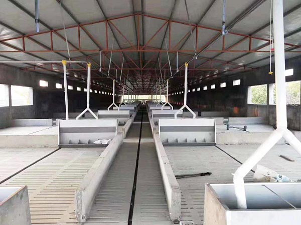 育肥自動喂料線